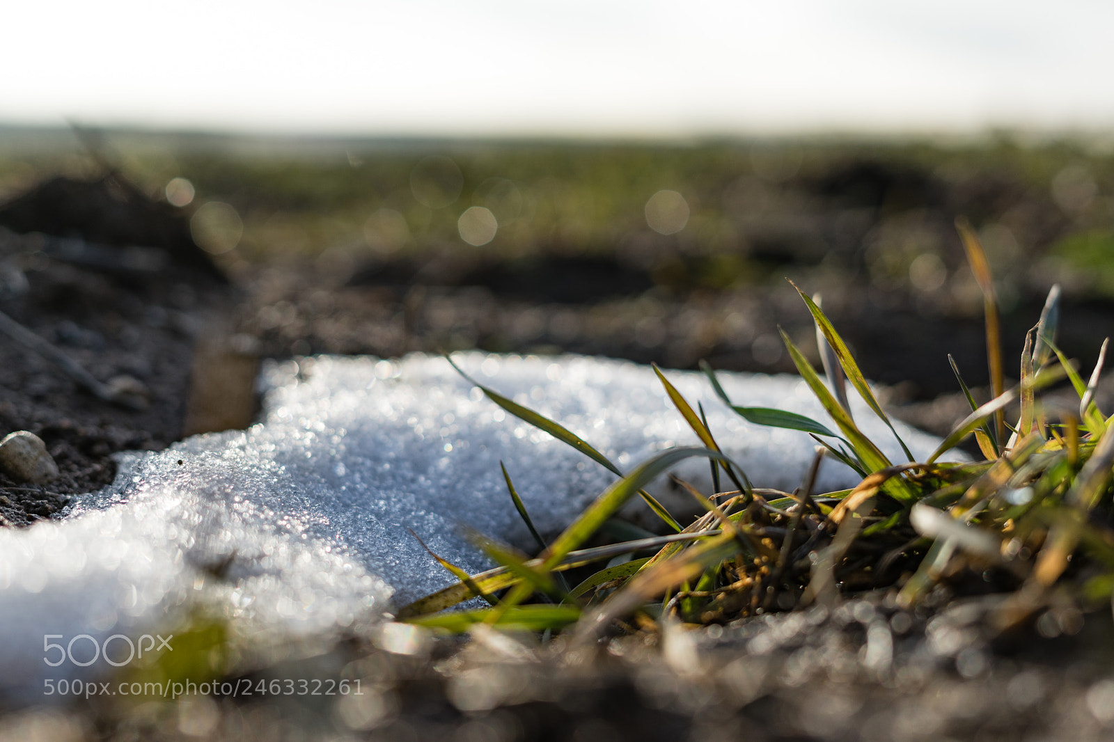 Sony a7 sample photo. Snow in 2018 photography