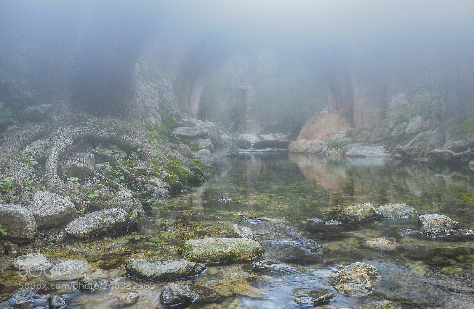 Olympus OM-D E-M1 Mark II sample photo. Niebla olympus photography