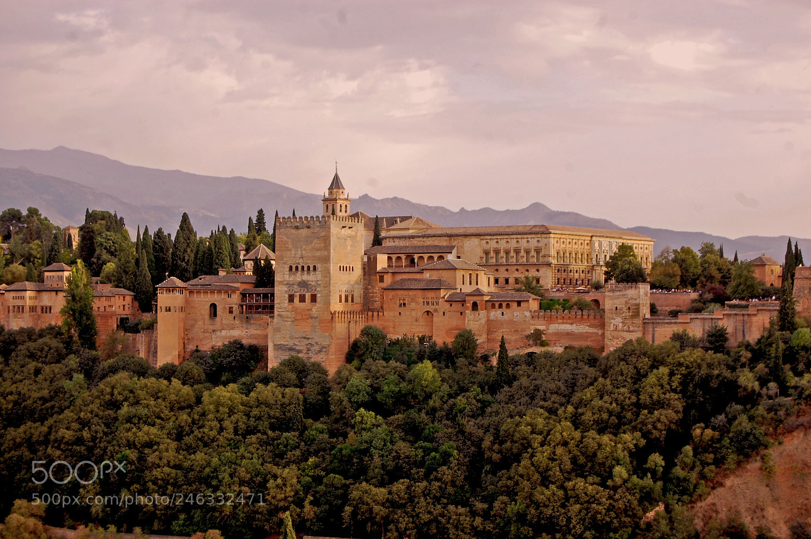 Nikon D40 sample photo. Alhambra photography
