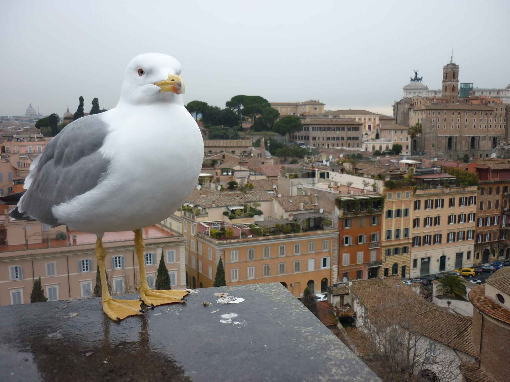 Panasonic DMC-FS42 sample photo. A bird's eye view photography