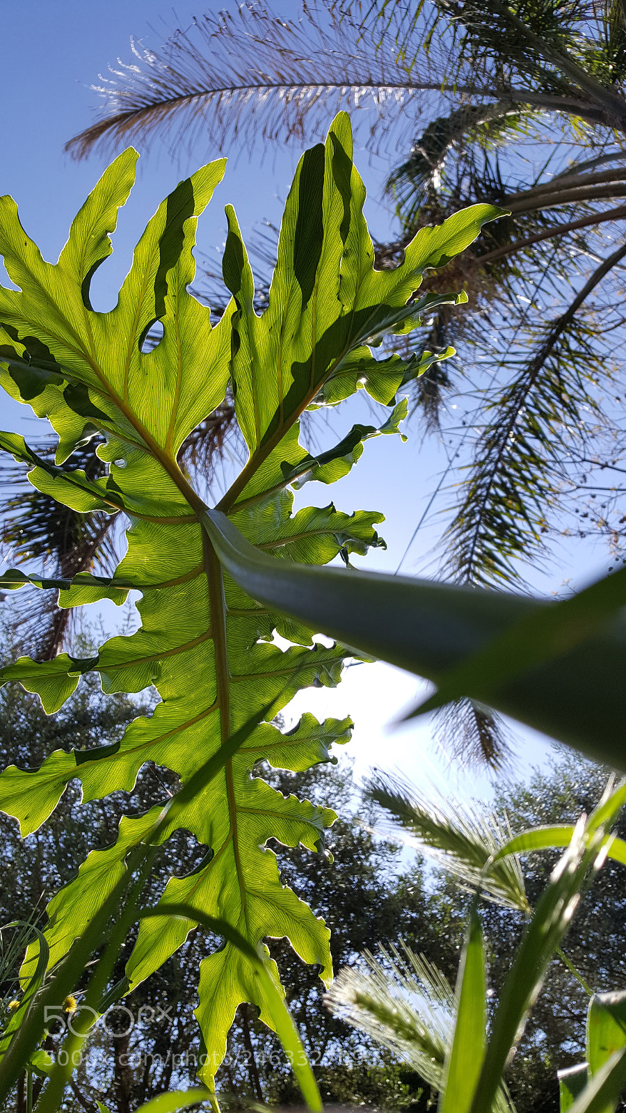 Samsung Galaxy S6 sample photo. Untitled photography