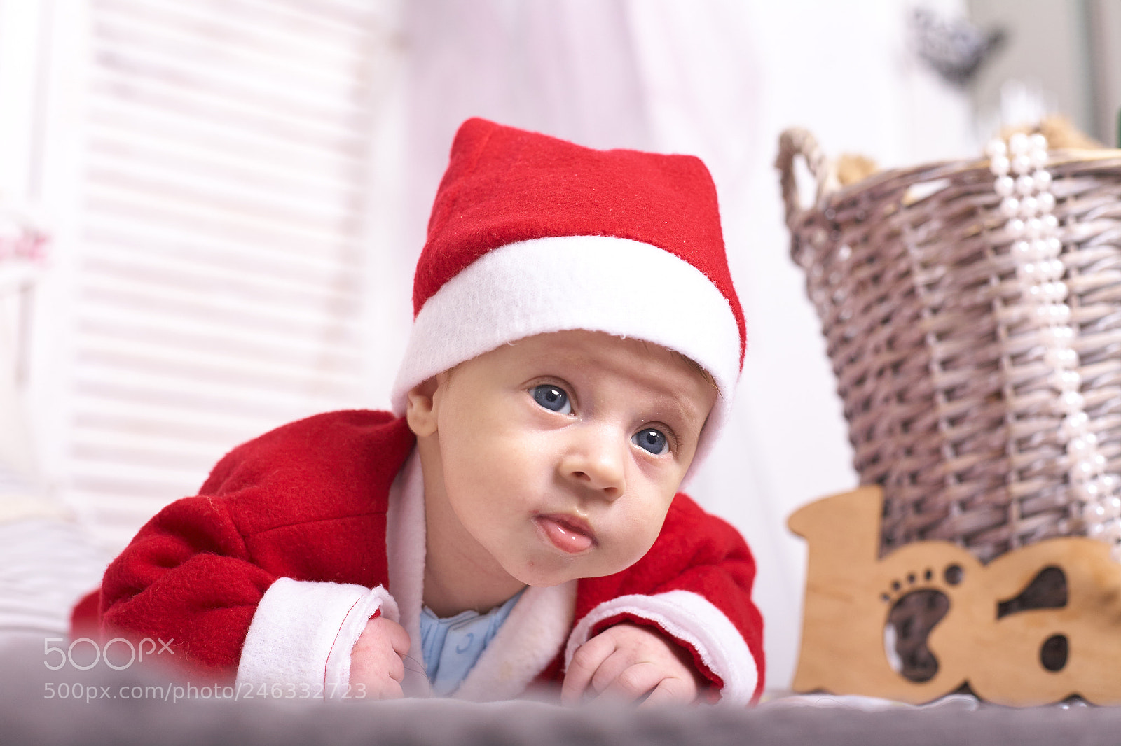 Canon EOS 5D sample photo. Christmas gift photography
