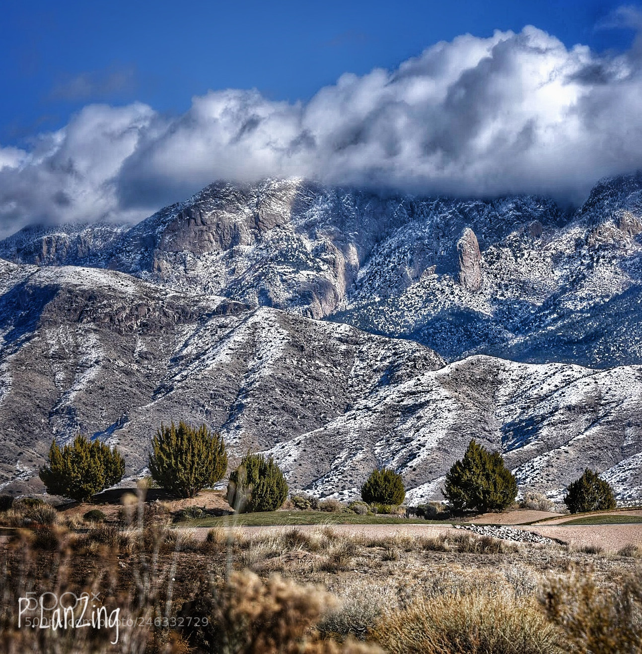 Nikon D810 sample photo. New snow on sandia photography