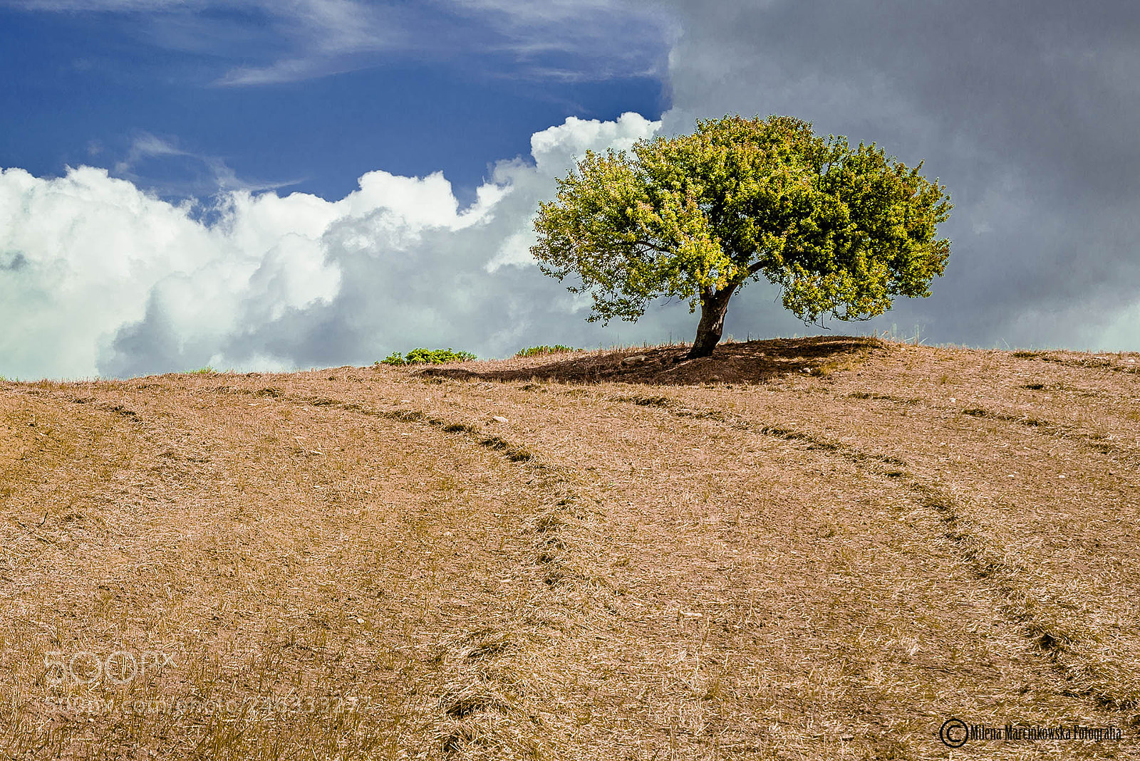Nikon D5200 sample photo. Solitary - sardinia photography