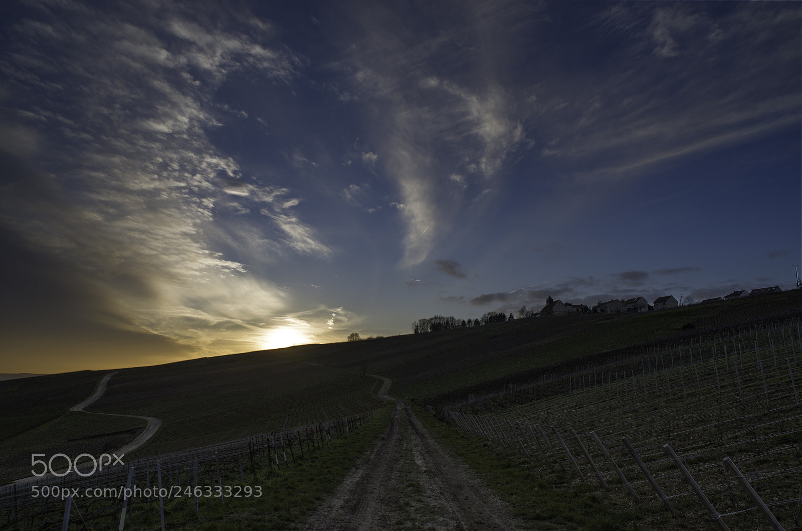 Pentax K-1 sample photo. Road to sunset photography
