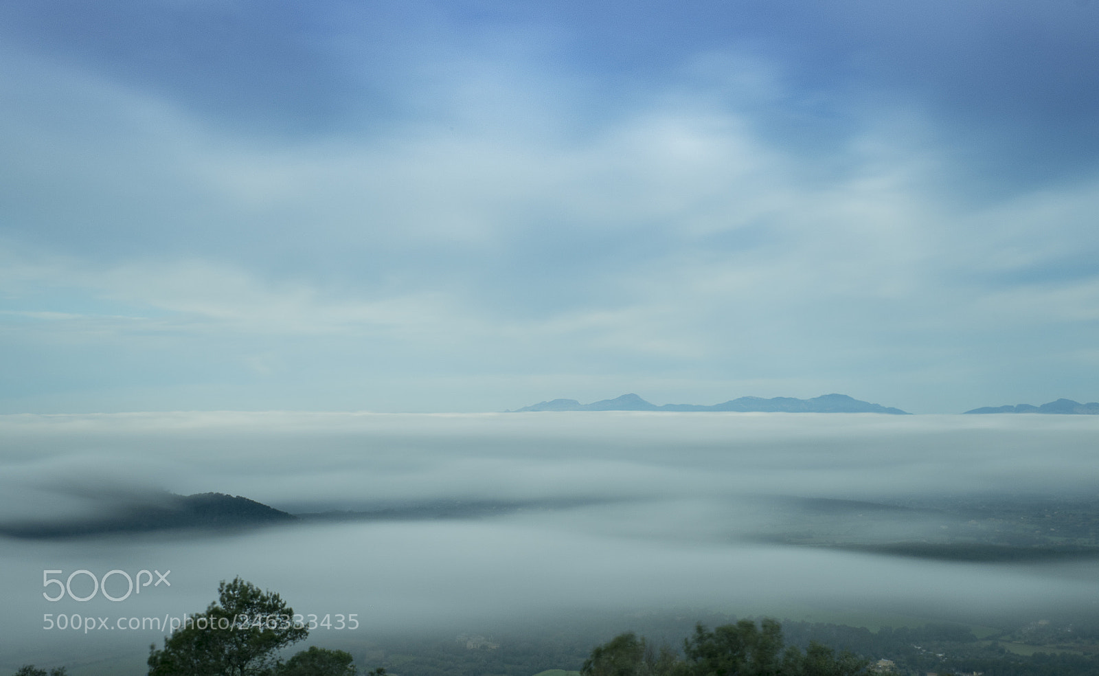 Olympus OM-D E-M1 Mark II sample photo. Niebla marina photography