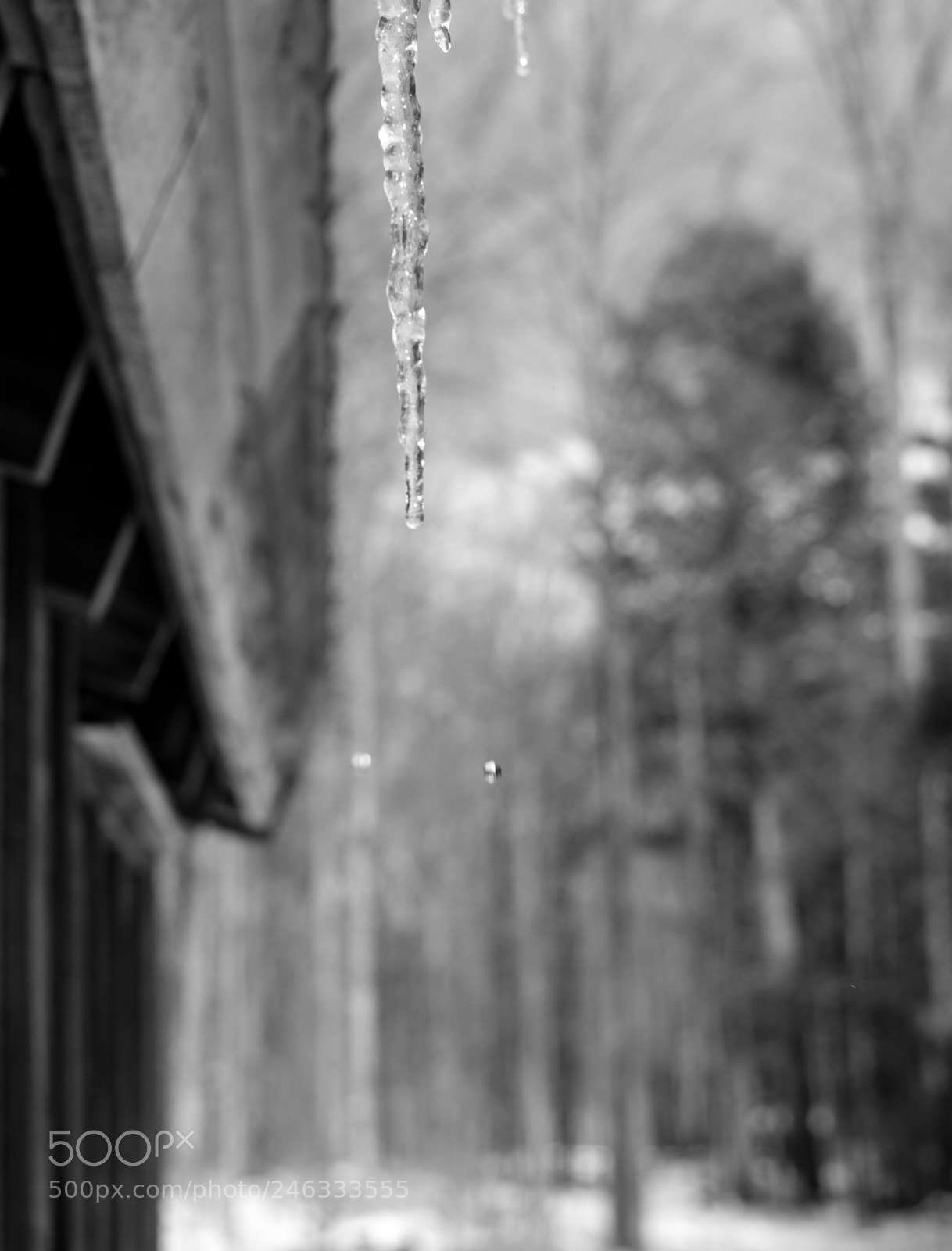 Fujifilm X-T1 sample photo. Icicles photography
