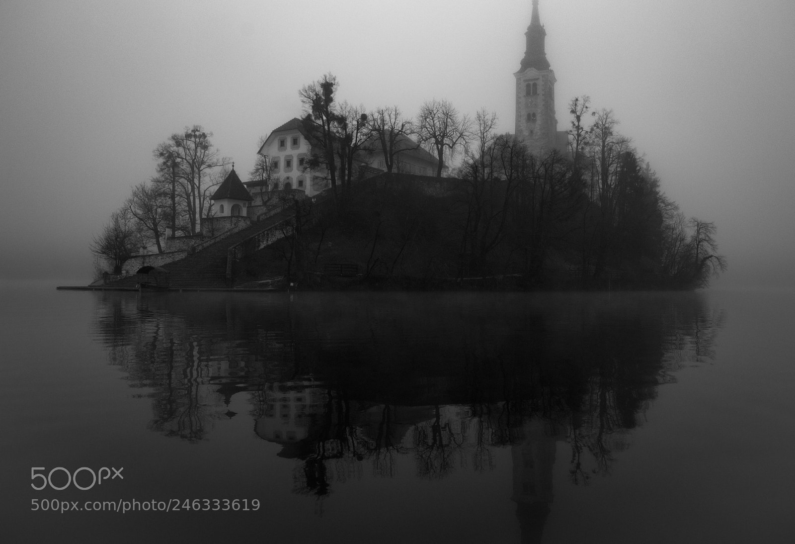 Nikon D3200 sample photo. Floating in the mist photography