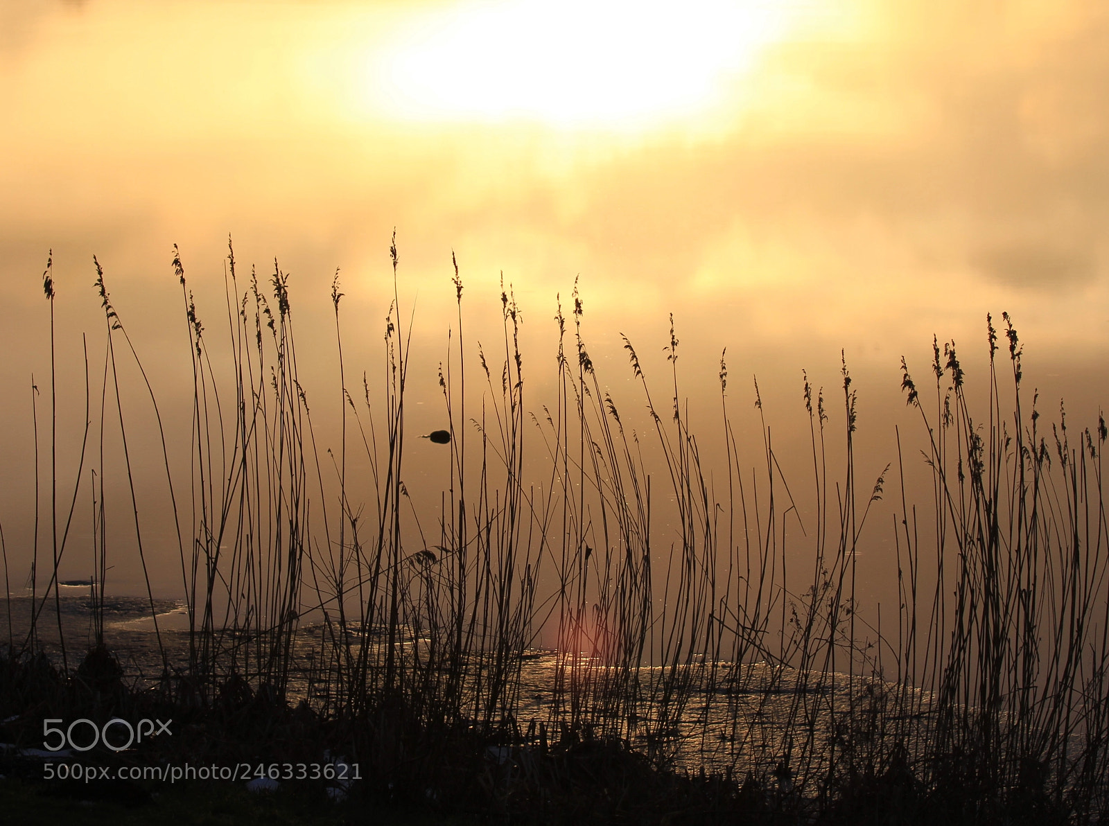 Canon EOS 7D sample photo. Sun+lake 2 photography