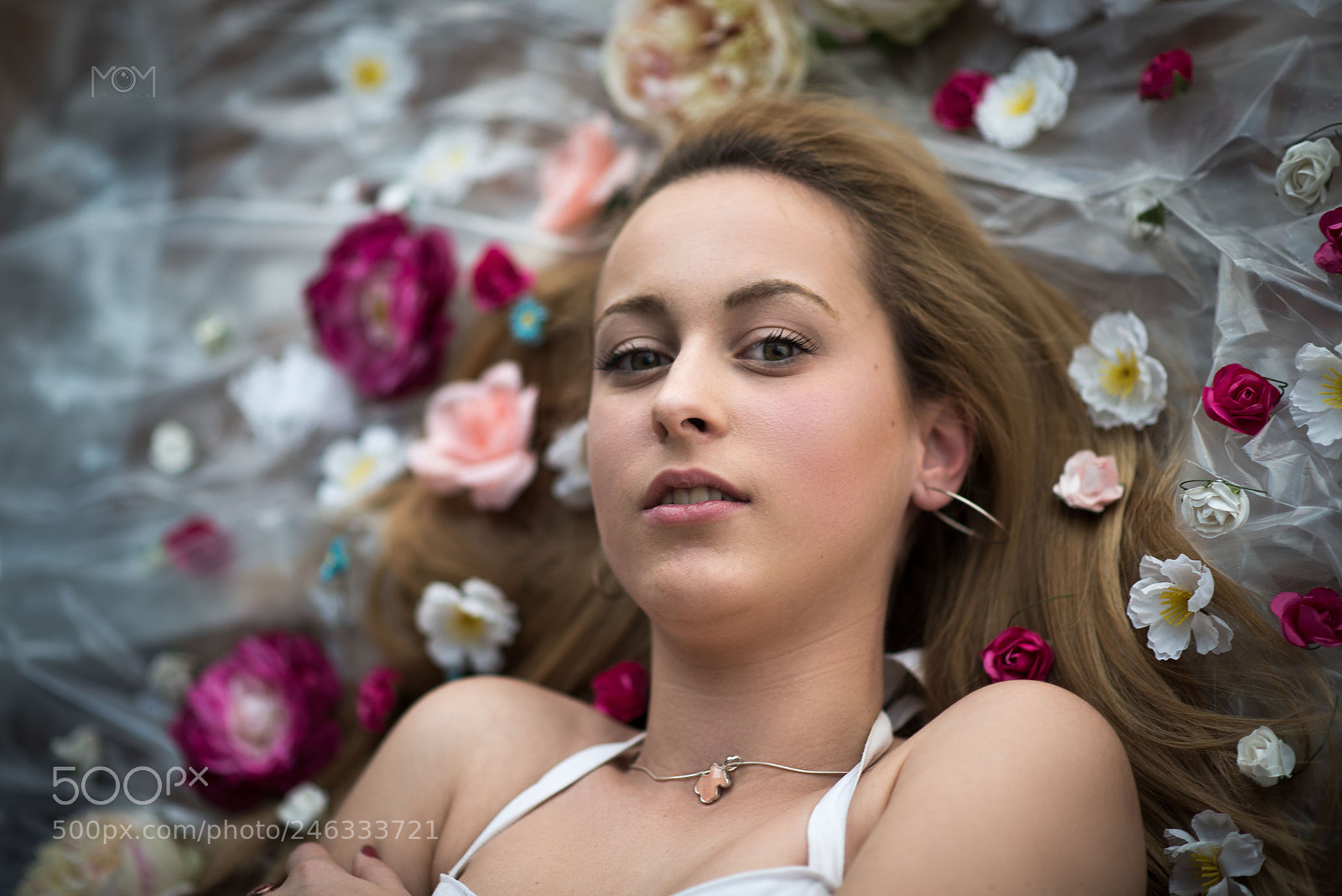Nikon D800 sample photo. Untitled photography