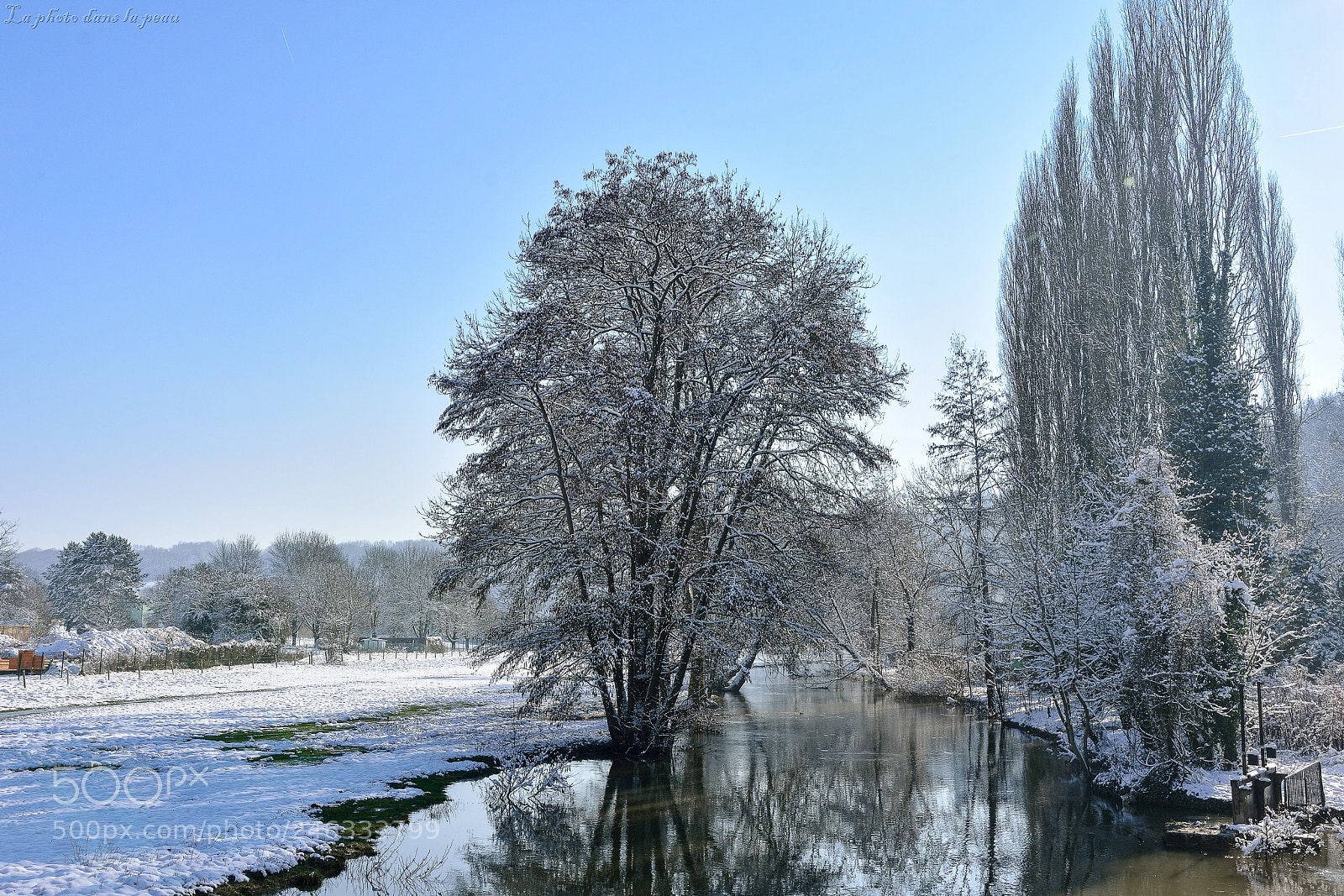 Nikon D7100 sample photo. Untitled photography
