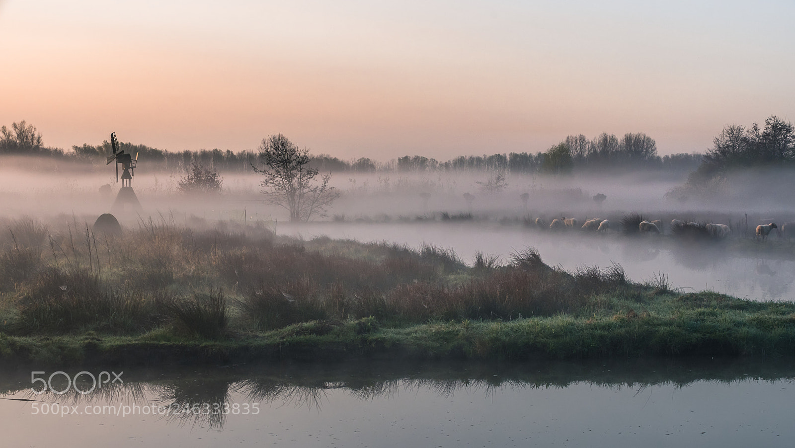 Nikon D500 sample photo. Early morning fog polderpark photography