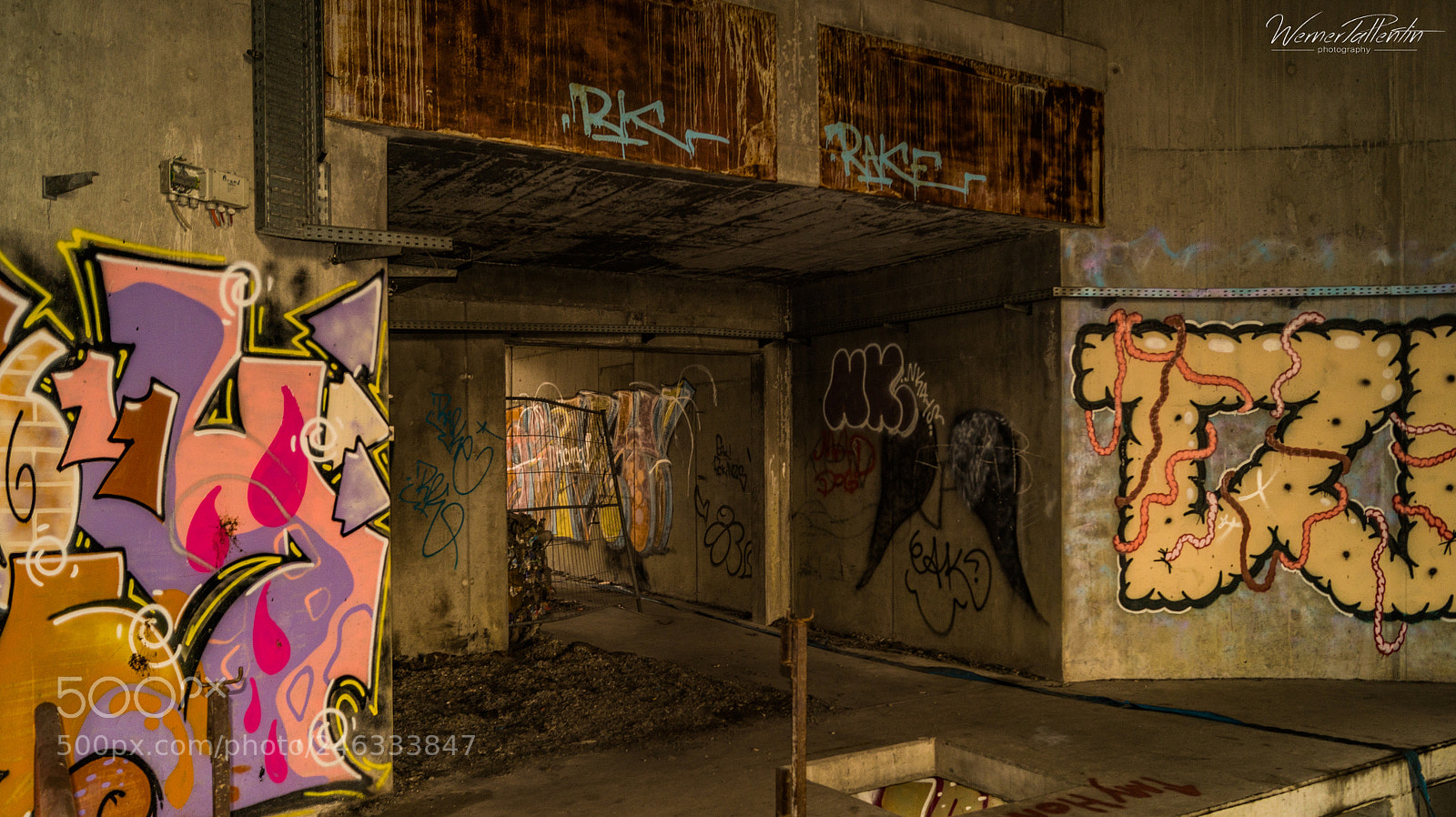 Sony SLT-A58 sample photo. Untitled photography
