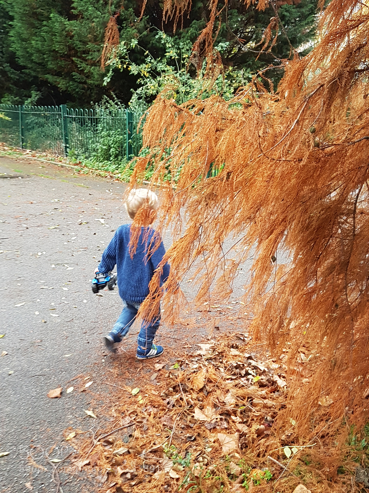 Samsung Galaxy S7 Edge sample photo. Nephew at the park photography