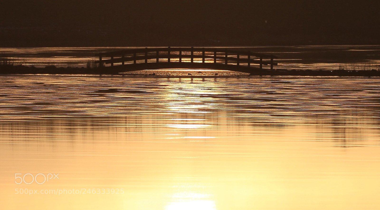Canon EOS 7D sample photo. Sun and lake photography