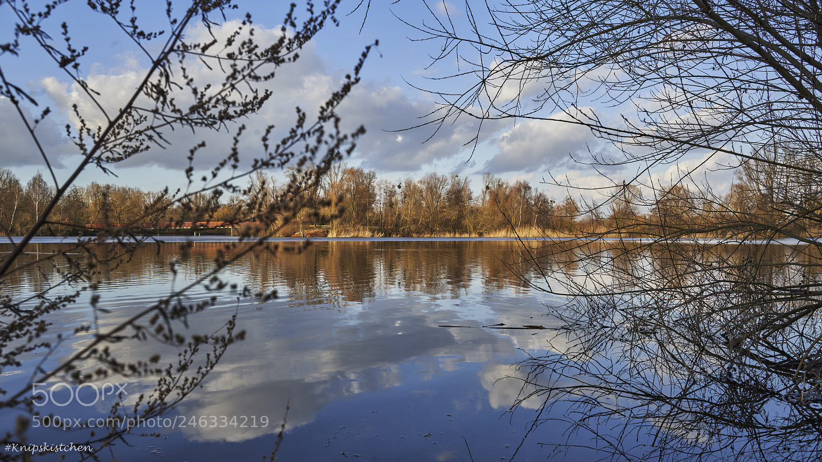 Sony a7R III sample photo. Buga see ii photography