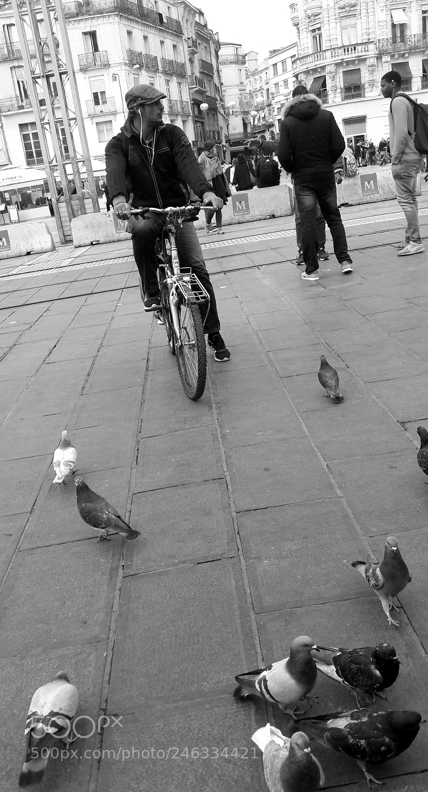 Samsung Galaxy A5(2016) sample photo. Les pigeons photography