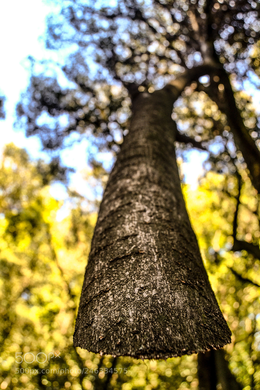 Nikon D3100 sample photo. Bragado 2018.01 photography