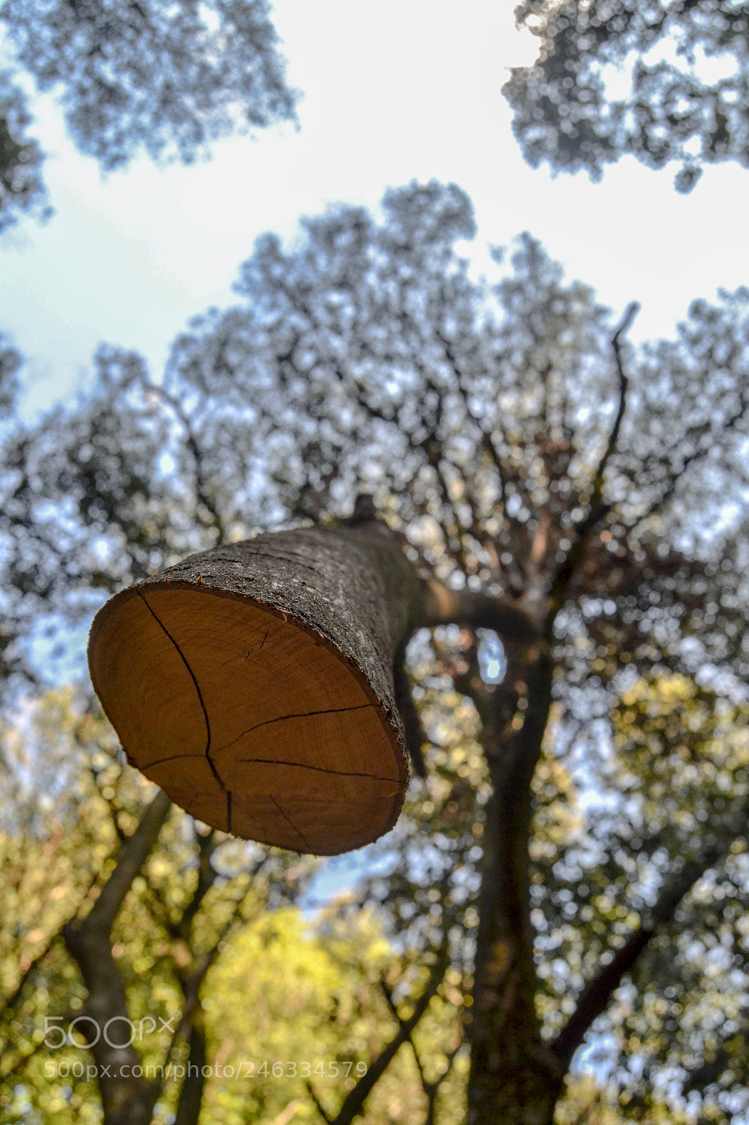 Nikon D3100 sample photo. Bragado 2018.01 photography