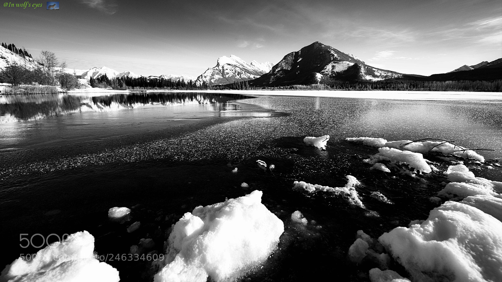 Nikon D810 sample photo. Black & white, canada photography