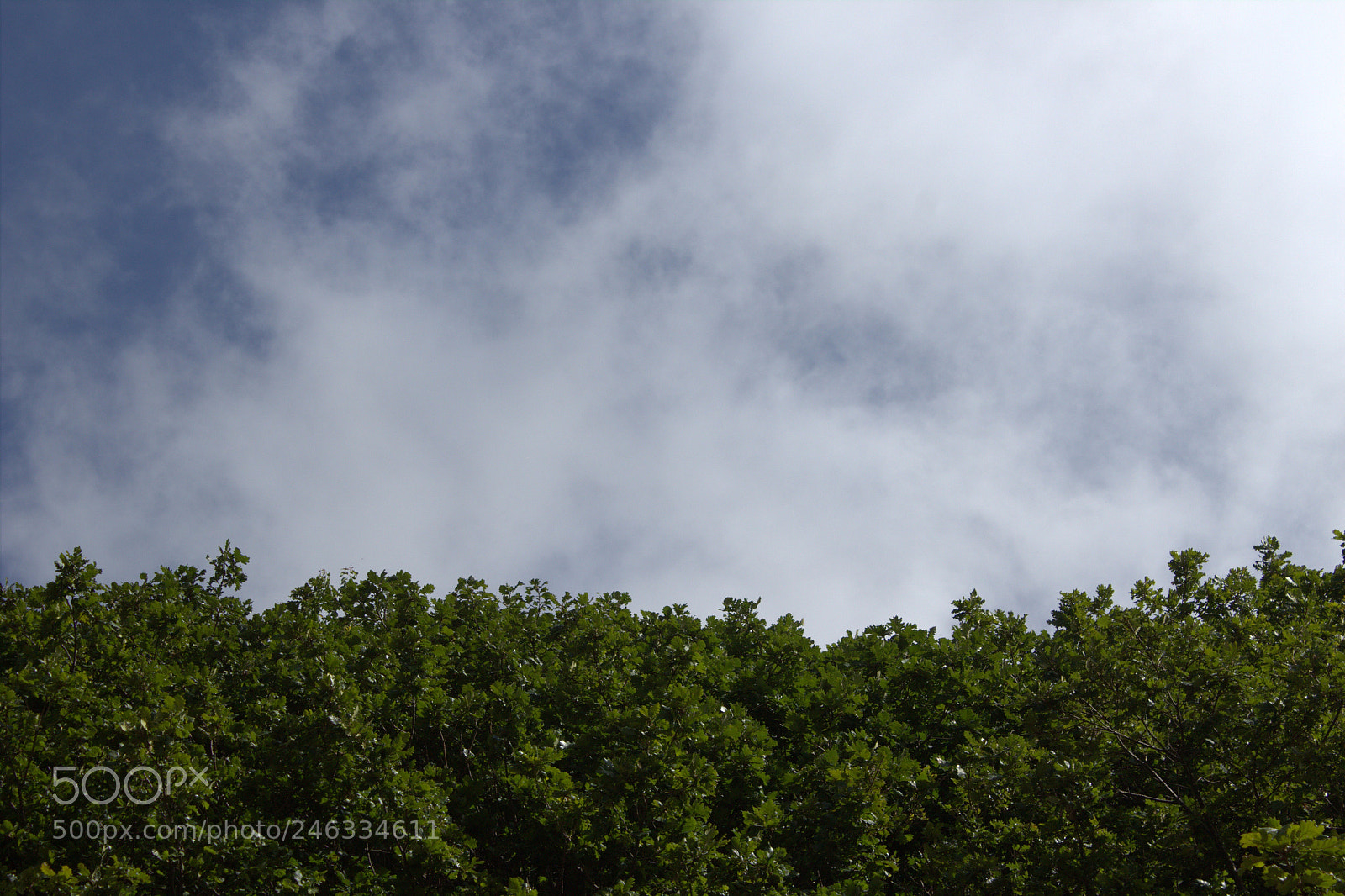 Canon EOS 600D (Rebel EOS T3i / EOS Kiss X5) sample photo. Clear world... photography