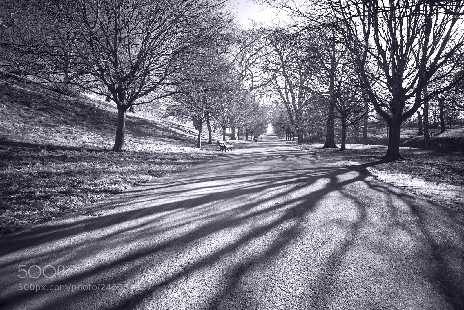 Nikon D610 sample photo. Shadows photography