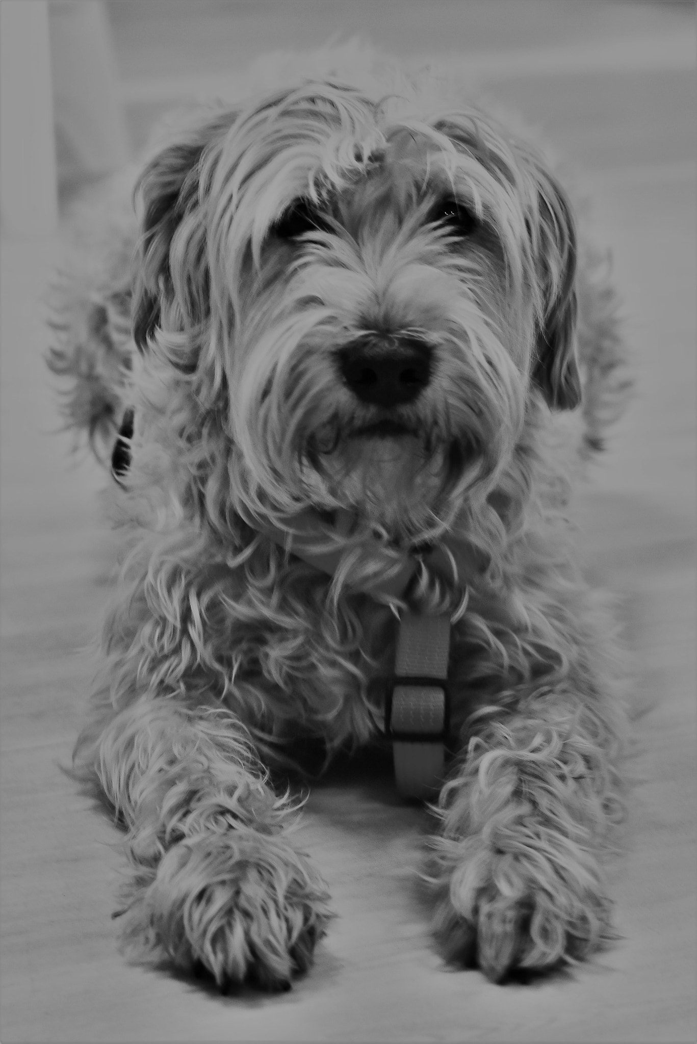 Nikon D810 sample photo. () photography