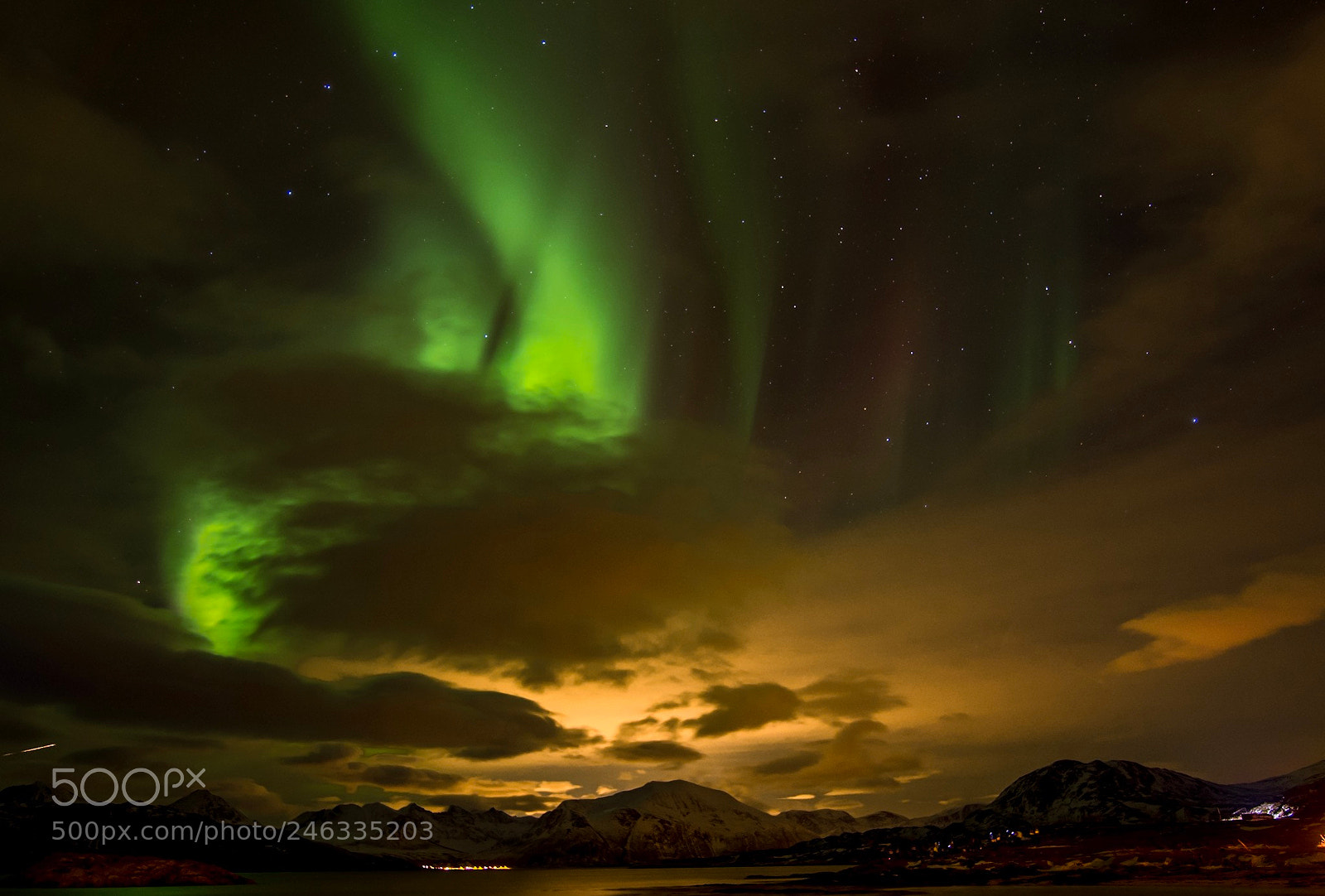Nikon D7500 sample photo. Auroris borealis photography