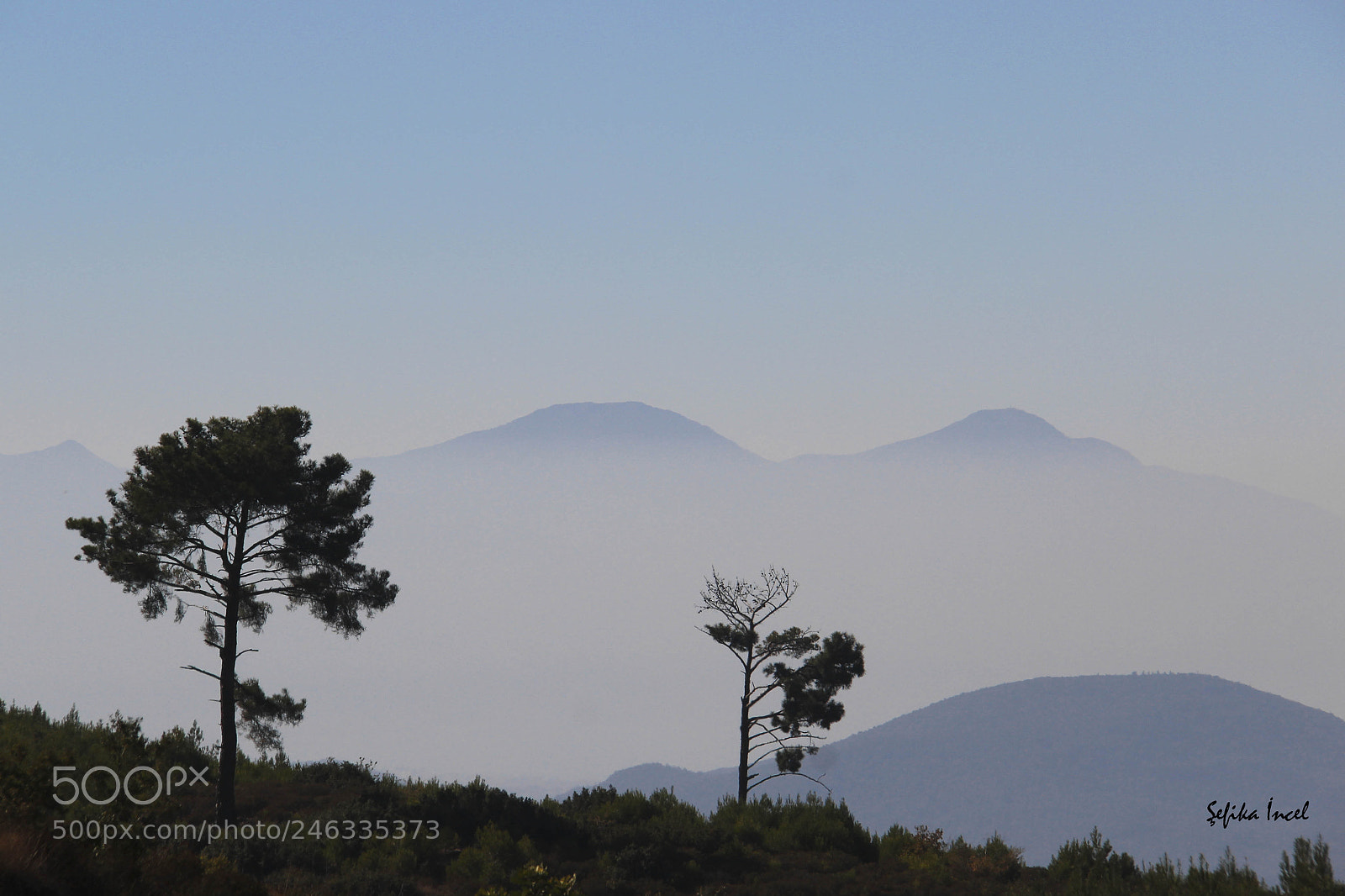 Canon EOS 600D (Rebel EOS T3i / EOS Kiss X5) sample photo. Da lar sisler alt photography