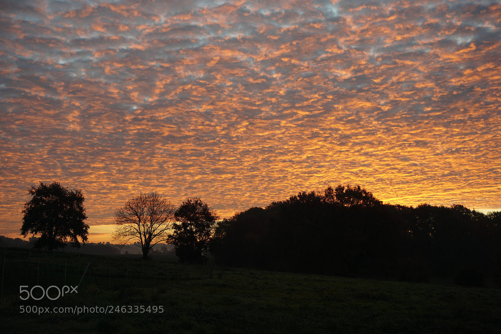 Sony E 16-50mm F3.5-5.6 PZ OSS sample photo. Ciel moutonneux photography
