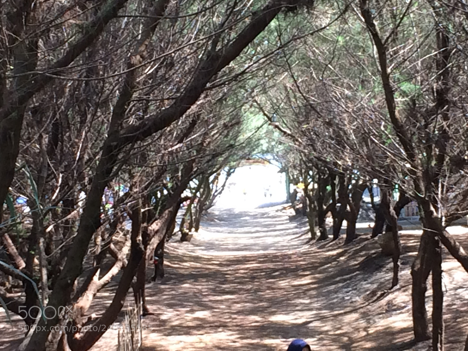 Apple iPhone 5s sample photo. Parangtritis beach  photography