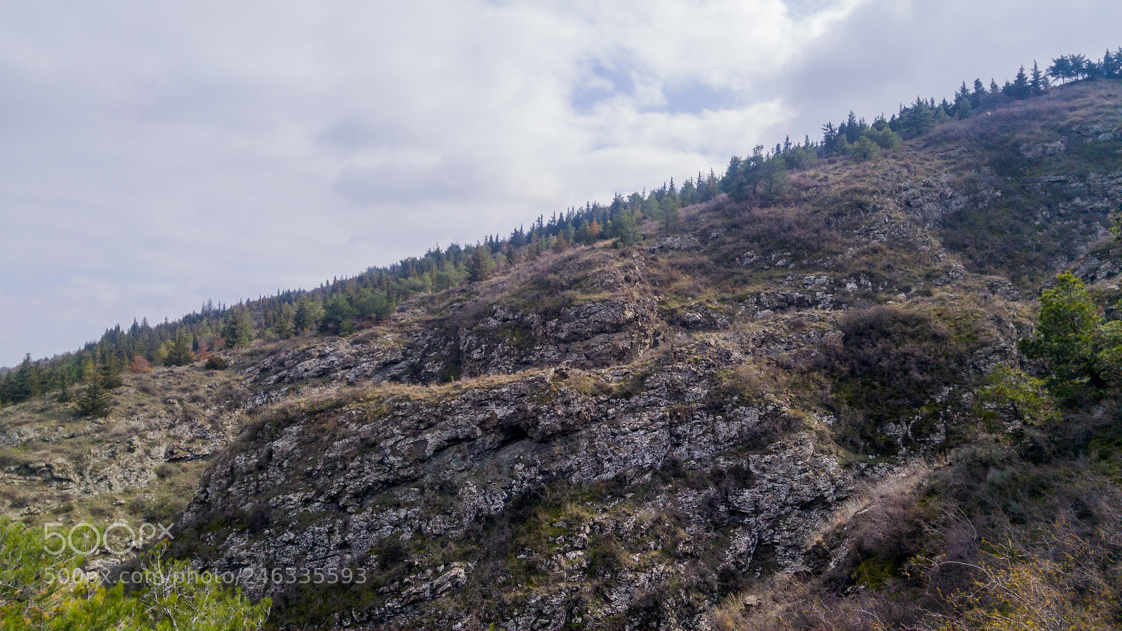 LG G4 sample photo. Untitled photography
