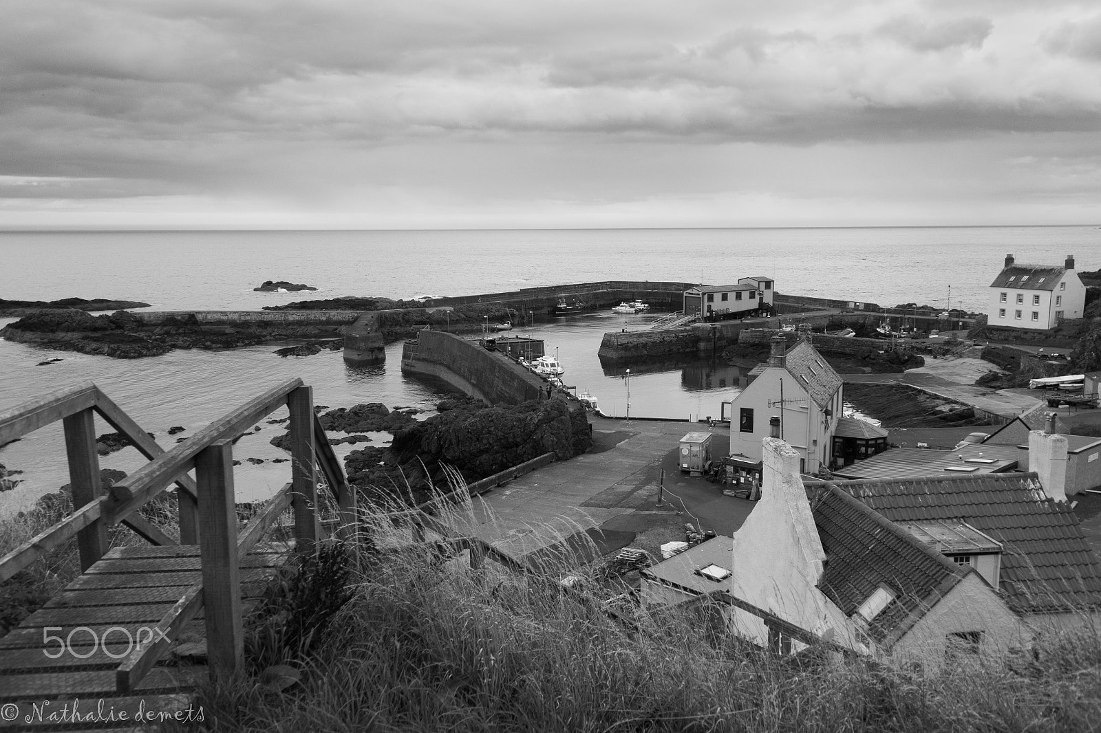 Nikon 1 J3 sample photo. St abbs photography