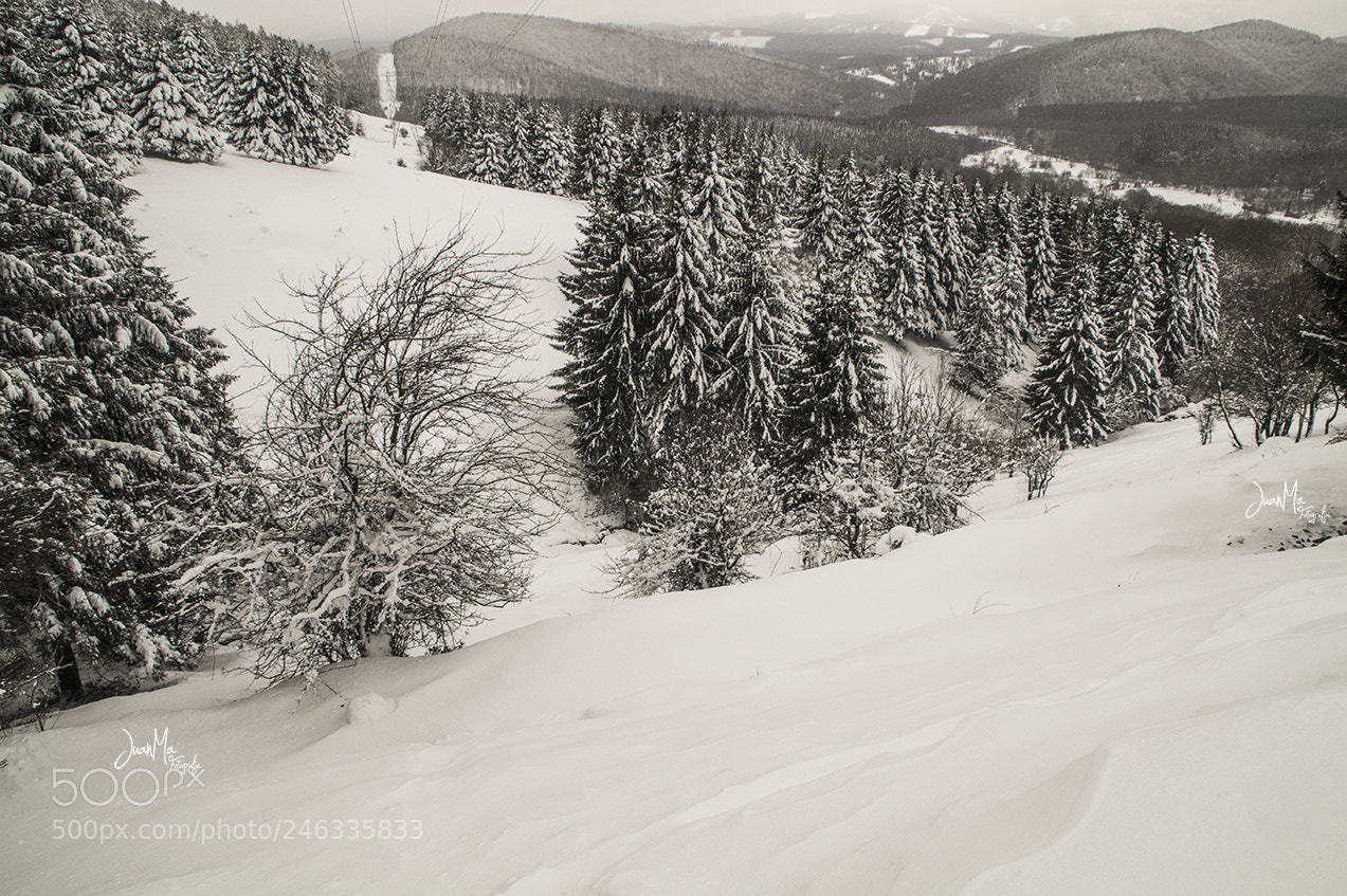 Sony SLT-A58 sample photo. Urkiola: nevado. photography