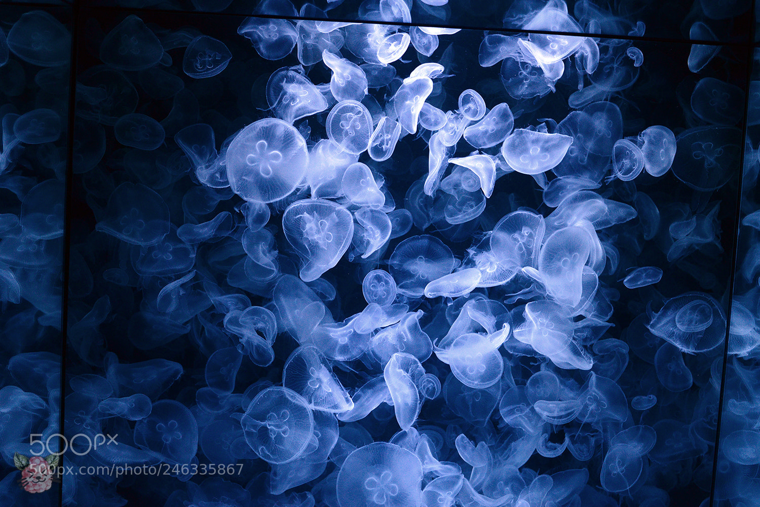 Nikon D610 sample photo. (un)endlich photography