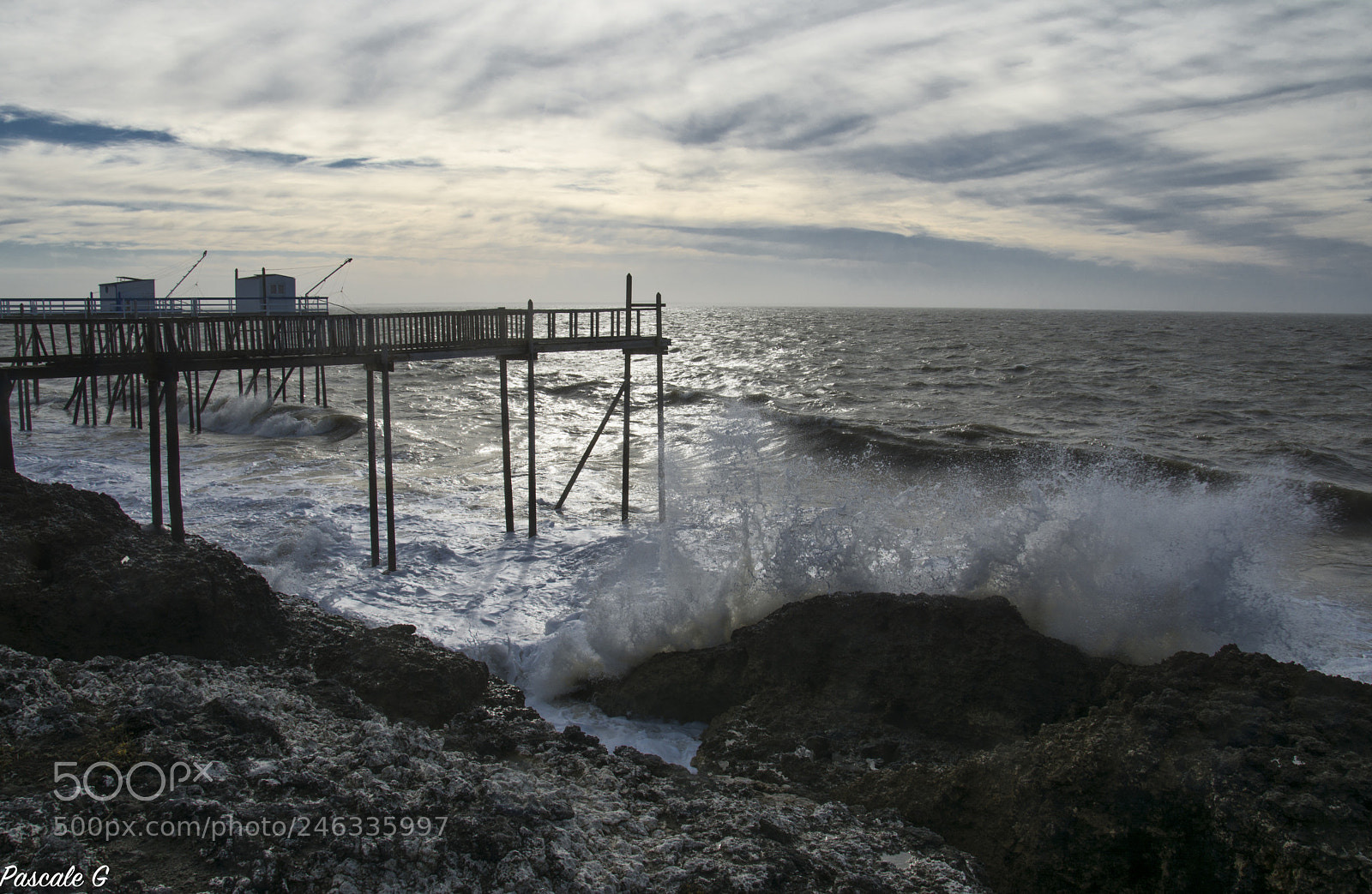 Nikon D7100 sample photo. A contre jour photography