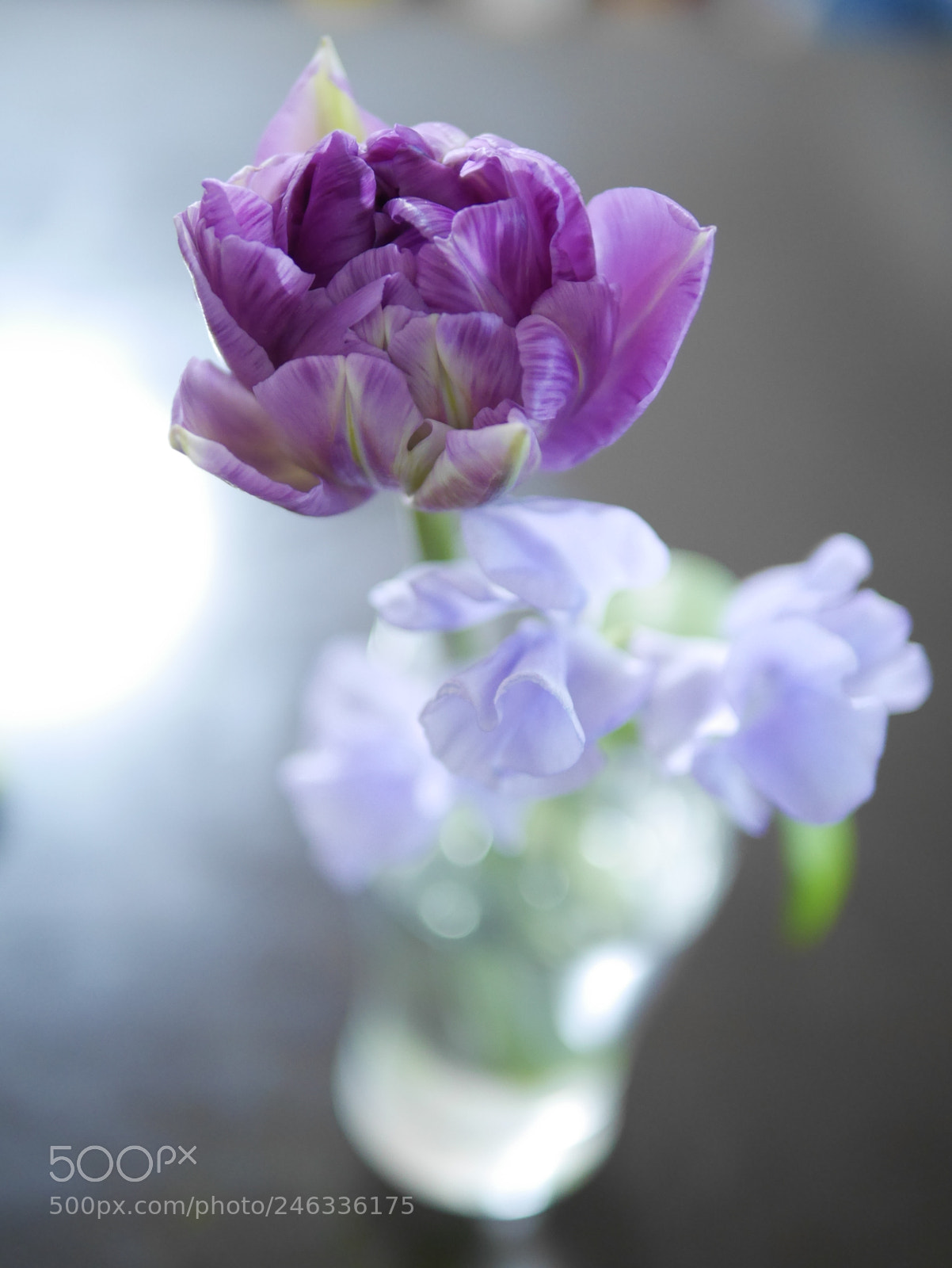 Panasonic Lumix DMC-GX7 sample photo. Vase flowers photography