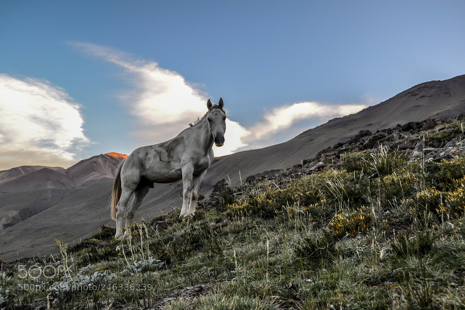 Nikon D3100 sample photo. Trekking al avi n photography