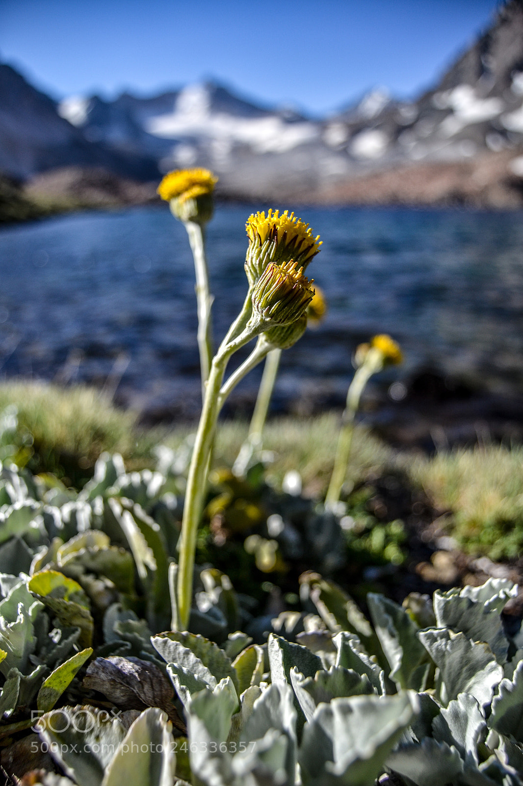 Nikon D3100 sample photo. Trekking al avi n photography