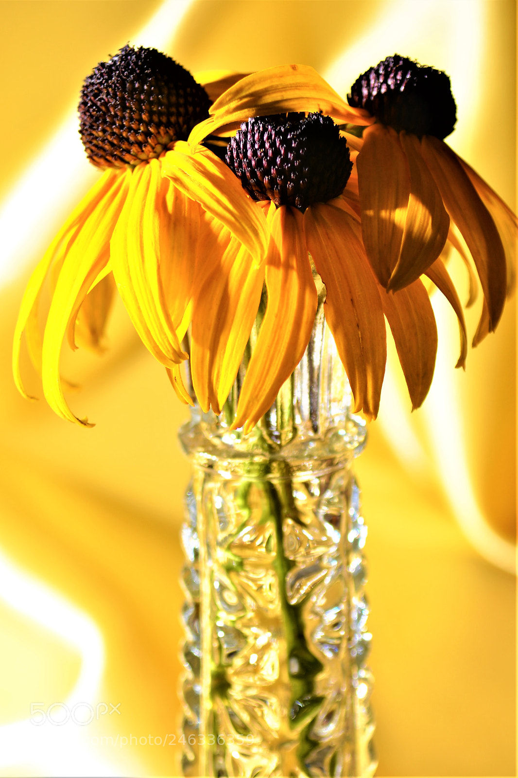 Nikon D5200 sample photo. Three blackberrys photography