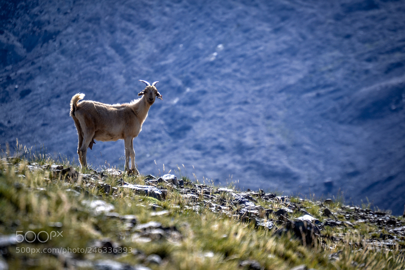 Nikon D3100 sample photo. Trekking al avi n photography
