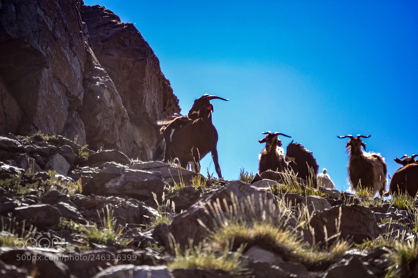Nikon D3100 sample photo. Trekking al avi n photography
