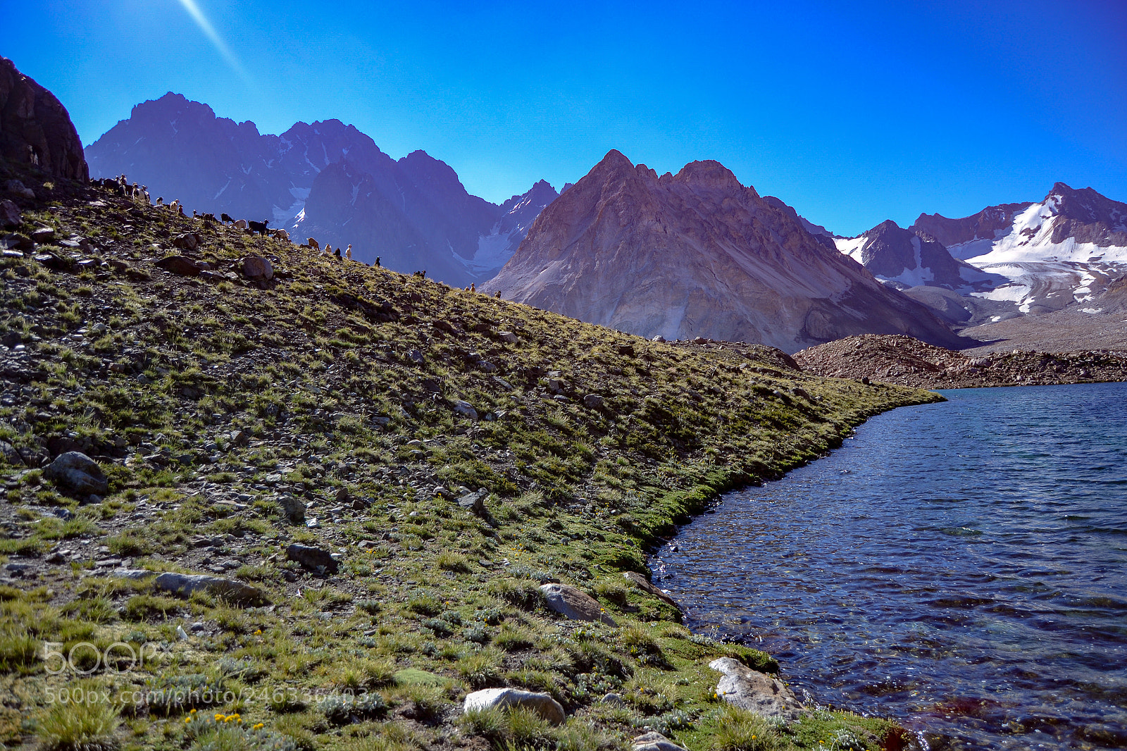 Nikon D3100 sample photo. Trekking al avi n photography