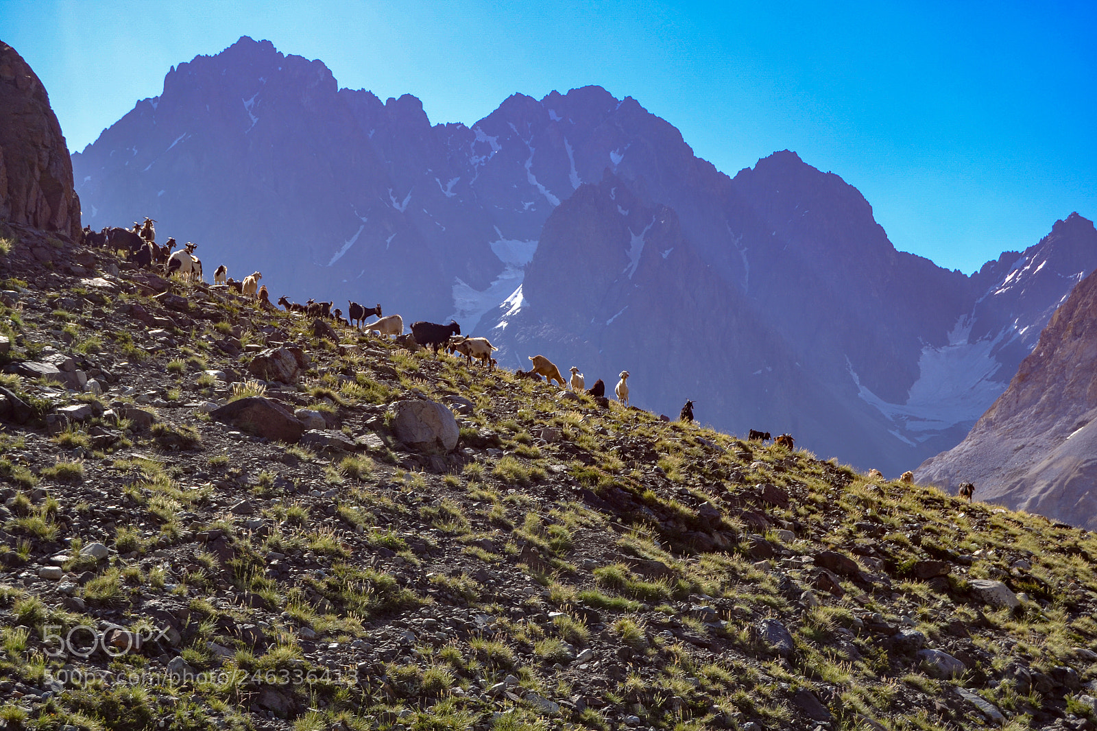 Nikon D3100 sample photo. Trekking al avi n photography