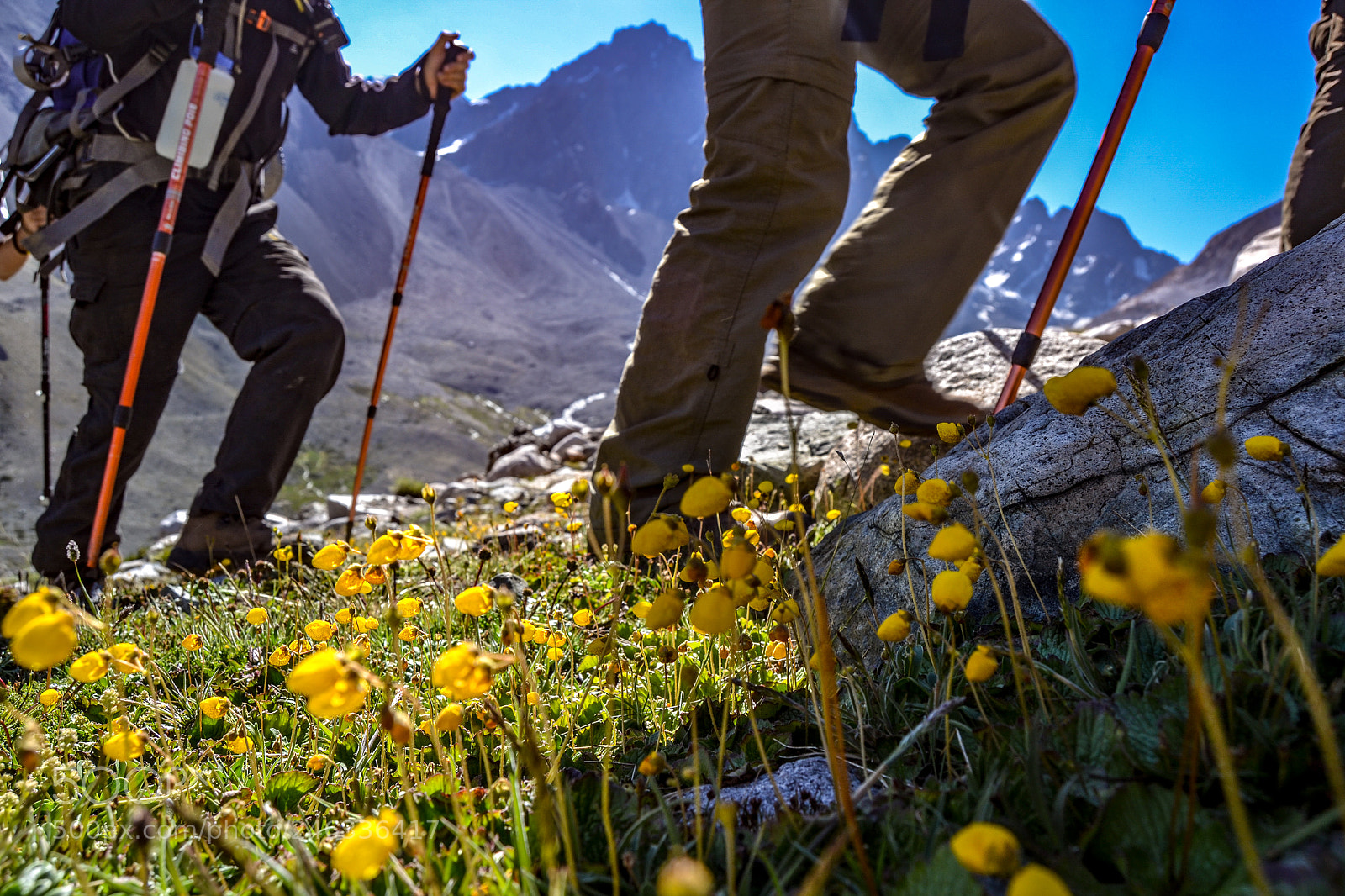 Nikon D3100 sample photo. Trekking al avi n photography