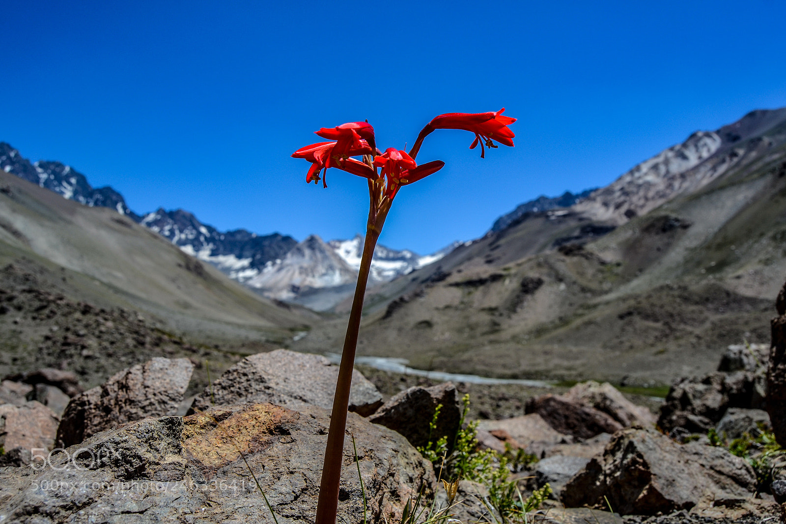 Nikon D3100 sample photo. Trekking al avi n photography