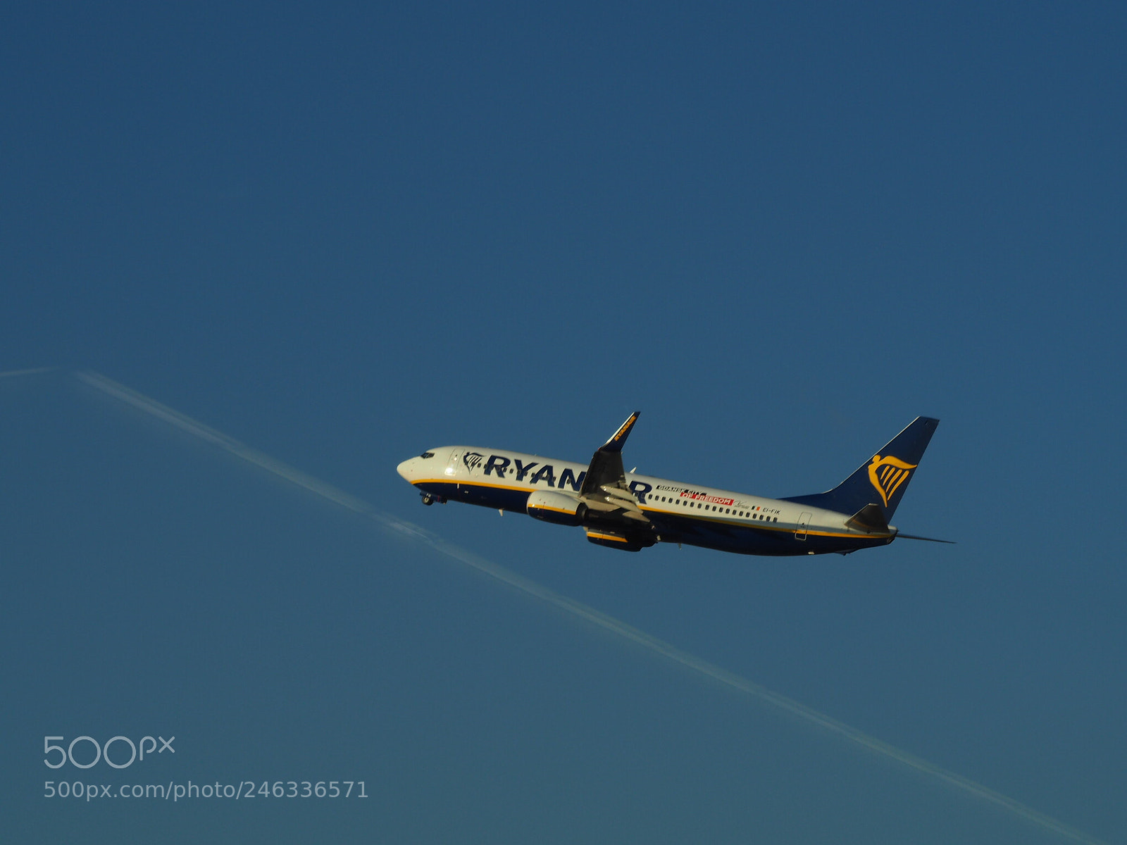 Olympus OM-D E-M10 II sample photo. Cazado al vuelo photography