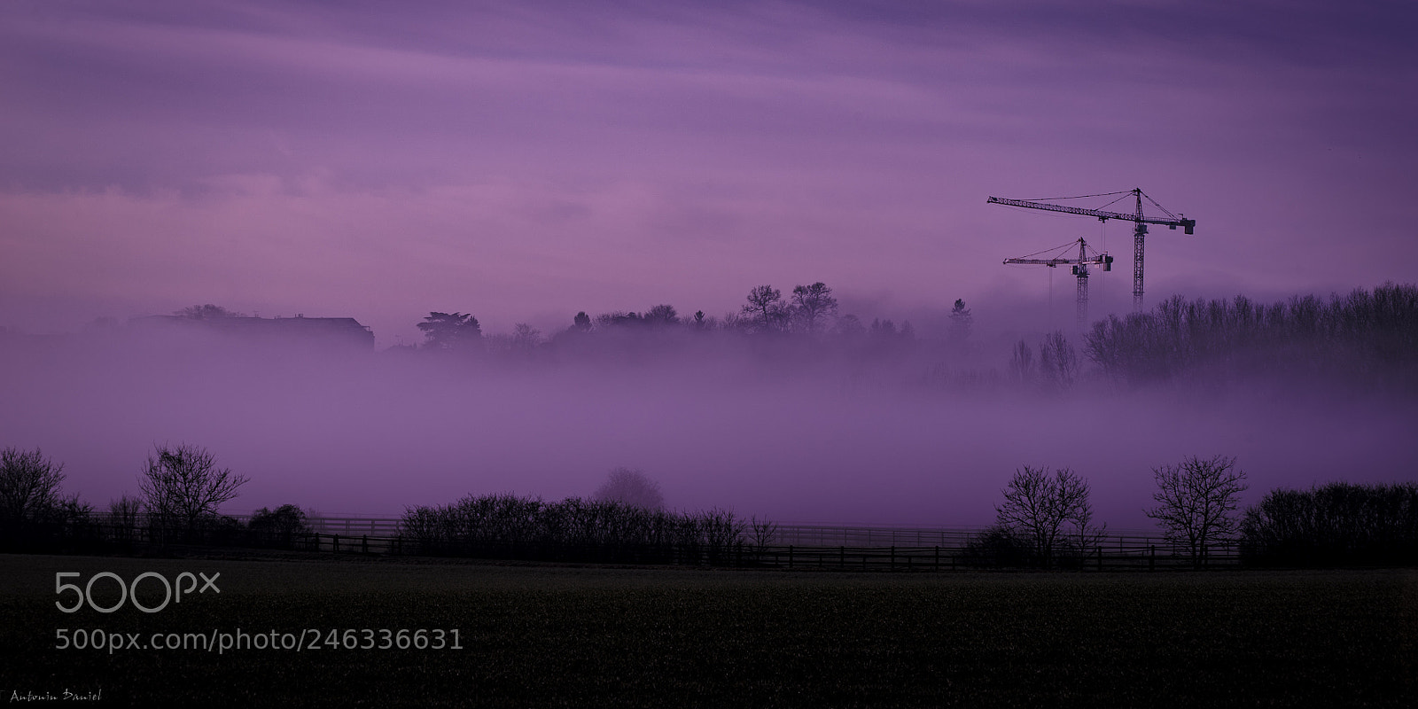 Sony a7S II sample photo. Grues campagne photography