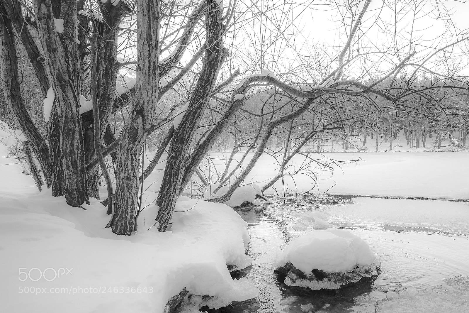Fujifilm X-T1 sample photo. Nieve en madrid photography