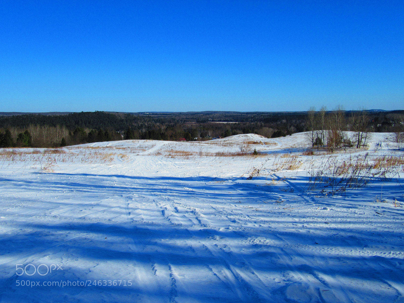 Canon PowerShot SX610 HS sample photo. Winter landscape photography